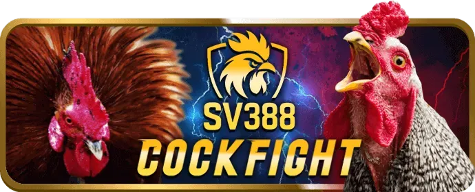 Đánh giá game slot mới nhất Win55 Slot